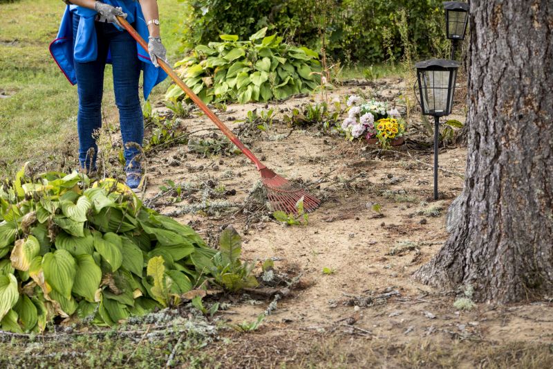 Site Clearing Service in Marietta, GA